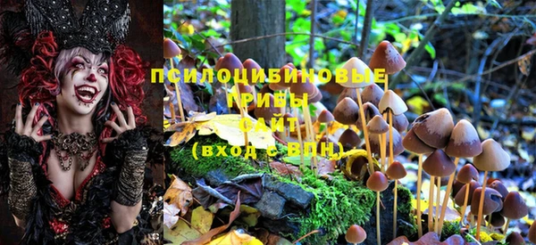 не бодяженный Ладушкин