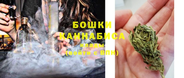 не бодяженный Ладушкин