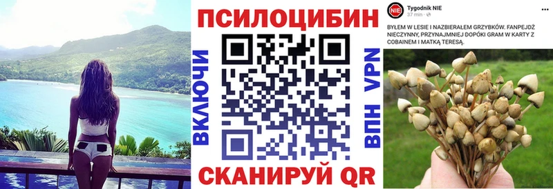Купить где  Таганрог  Псилоцибиновые грибы Psilocybine cubensis 